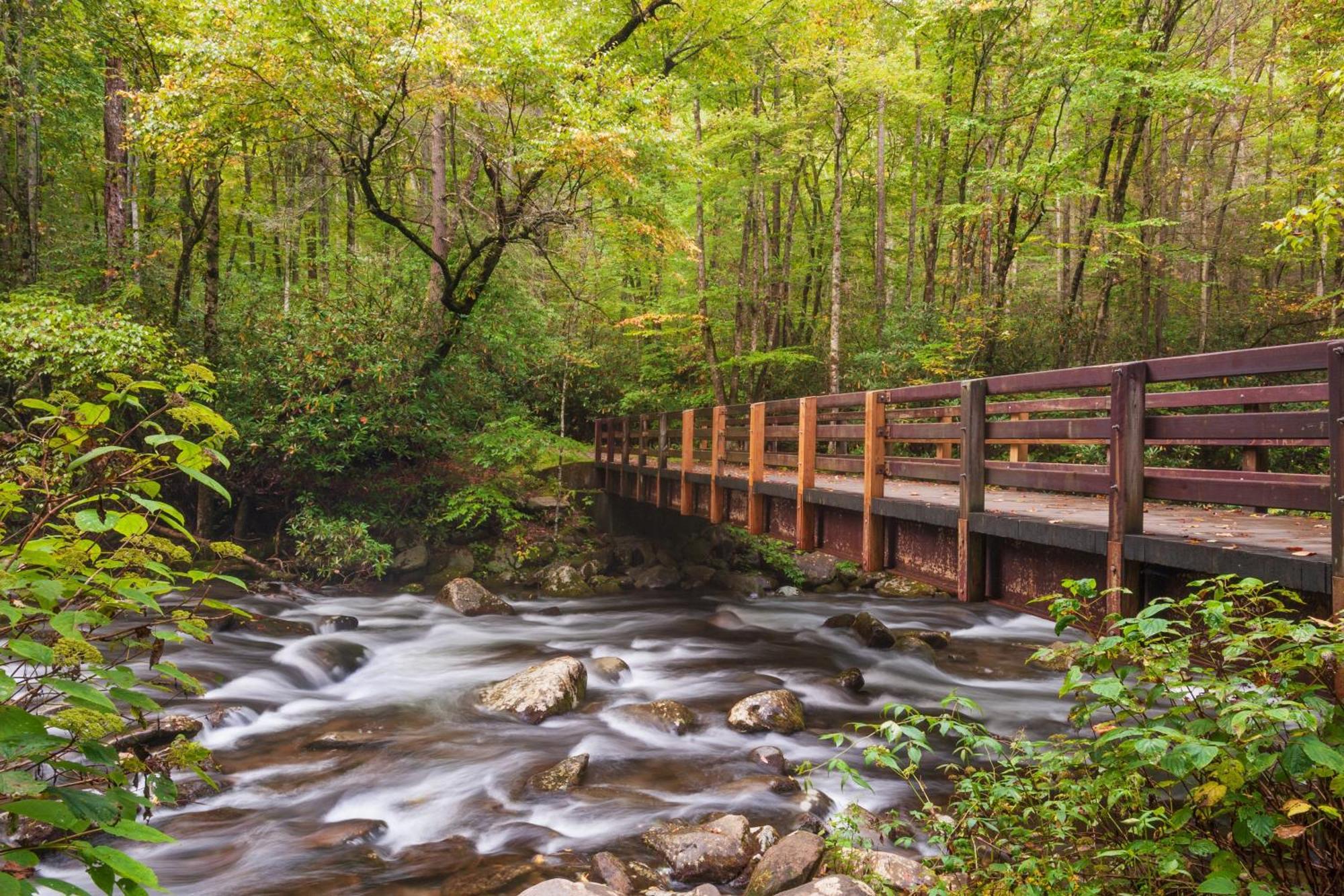 The Mason Jar, Hot Tub, Wifi, 1089 Free Tickets Each Paid Day, Dollywood And More! Pigeon Forge Eksteriør bilde